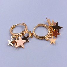 Сережки XР. Позолота 18К. Діаметр: 15 мм