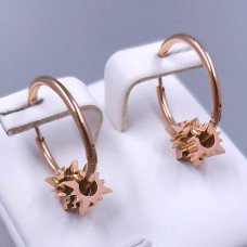 Сережки Stainless Steel. Сталь. Позолота ЧВ. Довжина: 22 мм. Ширина: 19 мм.