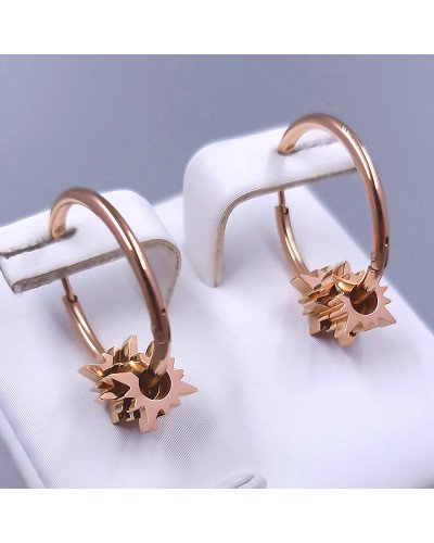 Сережки Stainless Steel. Сталь. Позолота ЧВ. Довжина: 22 мм. Ширина: 19 мм.