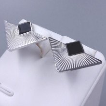 Сережки-гвоздики Stainless Steel. Сталь. Родій. Довжина: 17 мм. Ширина: 25 мм.