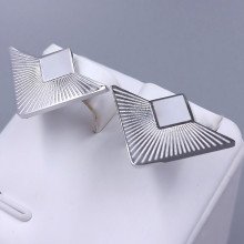 Сережки-гвоздики Stainless Steel. Сталь. Родій. Довжина: 17 мм. Ширина: 25 мм.
