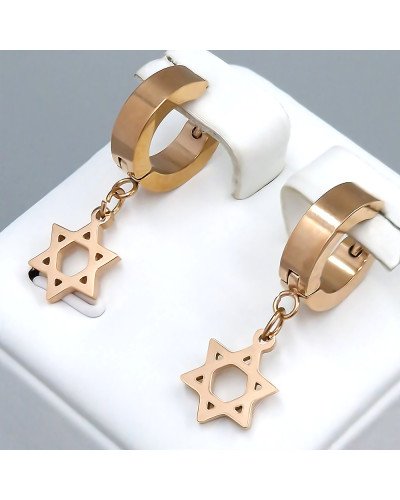 Сережки Stainless Steel. Сталь. Позолота ЧВ. Довжина: 29 мм. Ширина: 9 мм.
