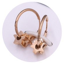 Сережки Stainless Steel. Сталь. Позолота ЧВ. Довжина: 12 мм. Ширина: 7 мм.